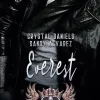 Plaisir d'Amour Verlag Romantic Suspense-Kings of Retribution MC: Everest (Louisiana Chapter)