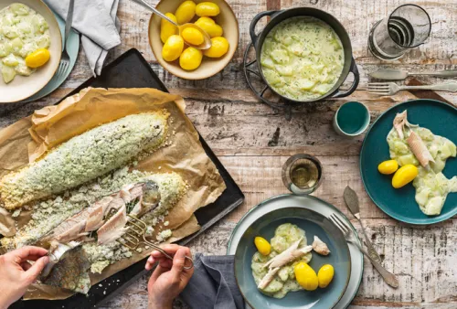 Brandstätter Verlag Grundkochbücher & Lexika*kochen.