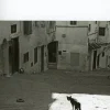 Gallimard Französische Bücher*La peste