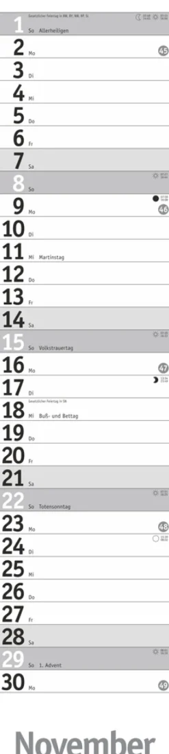 Heye Terminkalender*Langplaner, silber 2026