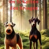 Lennox - ein Hund im Schatten des Krieges*EDITION digital Sale