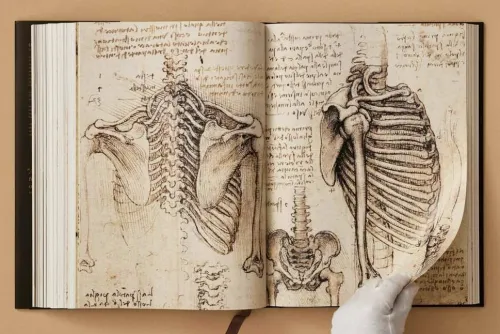 Leonardo. Sämtliche Gemälde und Zeichnungen*Taschen GmbH Sale