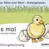 Lies mal - Das Heft mit dem Küken*jandorfverlag Hot