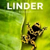 Schroedel Verlag GmbH Nach Schulform·Sekundarstufe|Nach Fächern·Biologie-LINDER Biologie SII