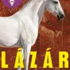 Rowohlt Verlag GmbH Nach Ländern|Historische Romane*Lázár