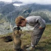 Matteo und die Murmeltiere*Lebensgeschenke-Verlag