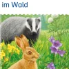 miniLÜK. Tiere und Pflanzen: im Wald*Westermann Lernwelten New