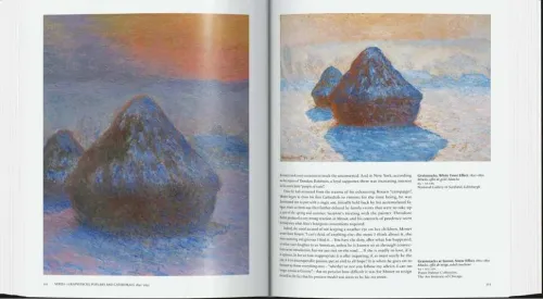 Taschen GmbH Künstler:Innen Im Fokus*Monet. Der Triumph des Impressionismus