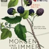 Morgen und für immer, 2 Audio-CD, 2 MP3*DHV Der HörVerlag Hot