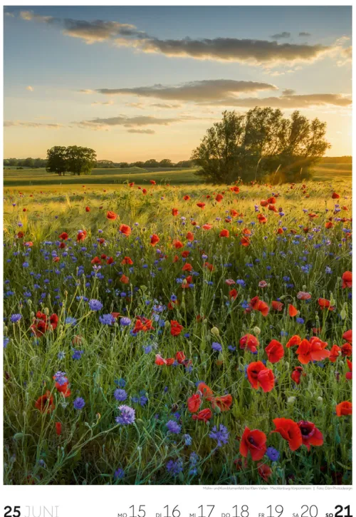 Natur Wochenkalender 2026*Ackermann Kunstverlag Online