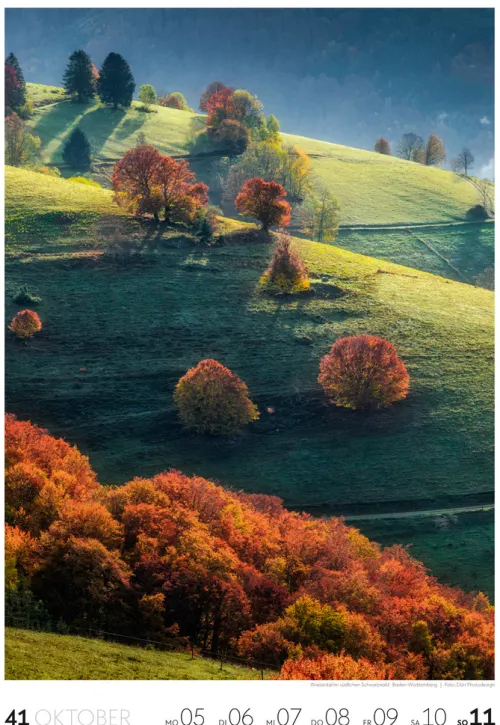 Natur Wochenkalender 2026*Ackermann Kunstverlag Online
