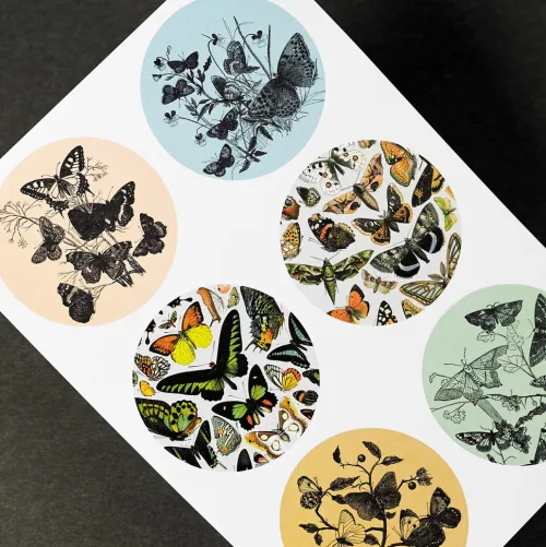 Pepin Press B.V. Klebstoff & Klebebänder*Natural History - Labels, Stickers & Tape
