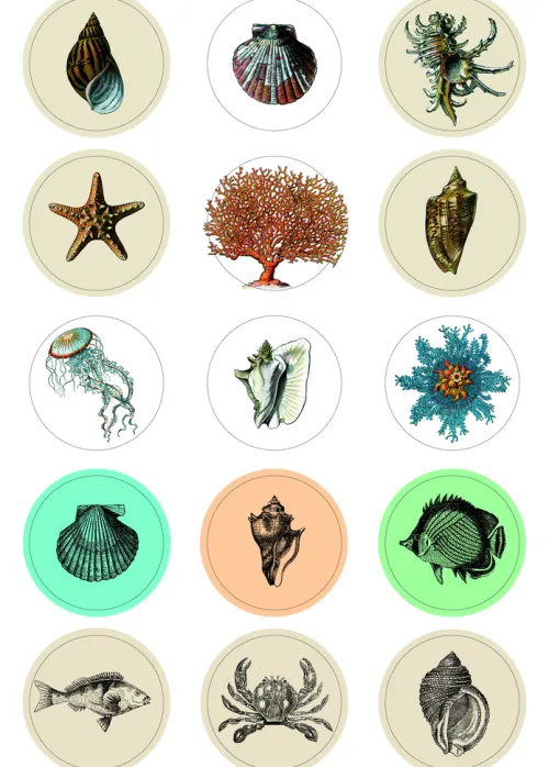 Pepin Press B.V. Klebstoff & Klebebänder*Natural History - Labels, Stickers & Tape