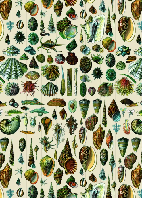 Pepin Press B.V. Klebstoff & Klebebänder*Natural History - Labels, Stickers & Tape