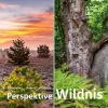 Natur & Text Nachhaltigkeit*Perspektive Wildnis