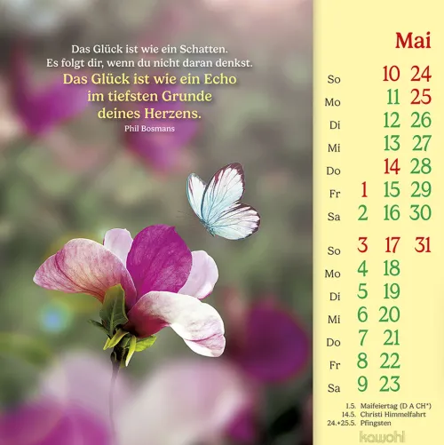 Kawohl Postkartenkalender*Phil Bosmans Postkartenkalender 2026