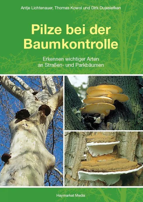 Haymarket Media GmbH Umweltwissenschaft-Pilze bei der Baumkontrolle