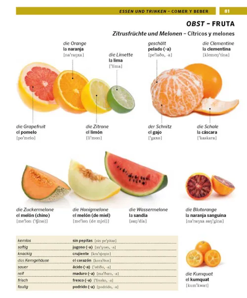 Pons Langenscheidt GmbH Lexika & Sprachen-PONS Bildwörterbuch Spanisch
