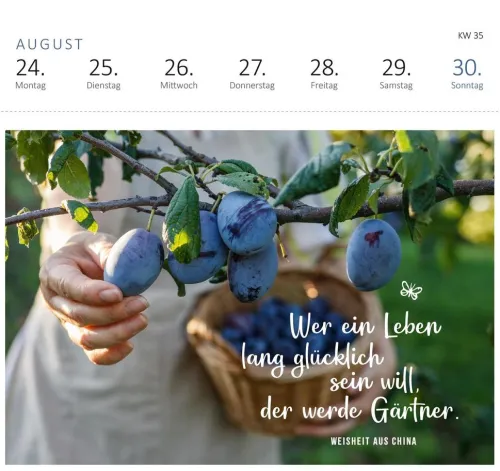 ars edition Postkartenkalender*Postkartenkalender Gartenglück 2026
