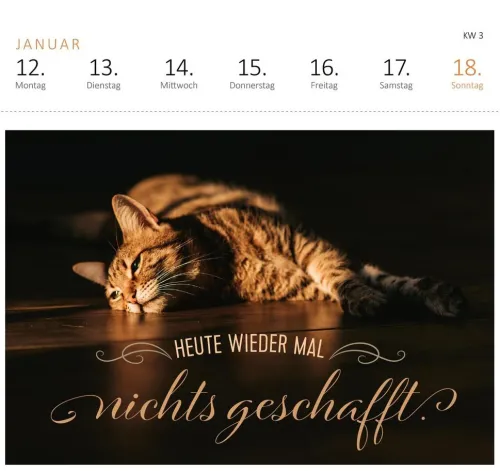 ars edition Postkartenkalender*Postkartenkalender Vergiss Rosen, streu mir Pommes aufs Bett. 2026