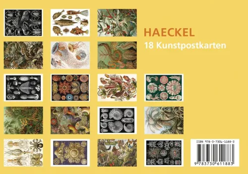 Anaconda Verlag Postkarten*Postkarten-Set Ernst Haeckel