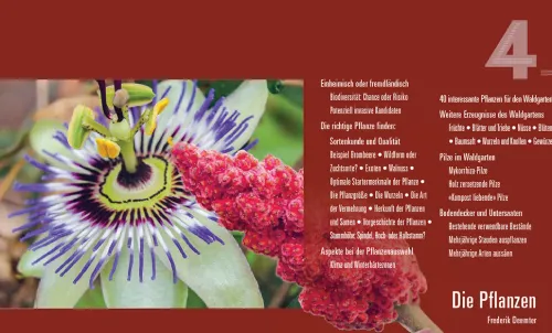 Haupt Verlag AG Umweltwissenschaft*Praxisbuch Waldgarten
