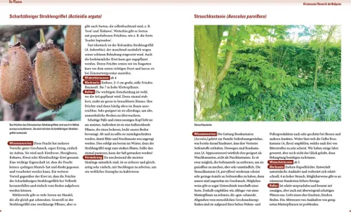 Haupt Verlag AG Umweltwissenschaft*Praxisbuch Waldgarten