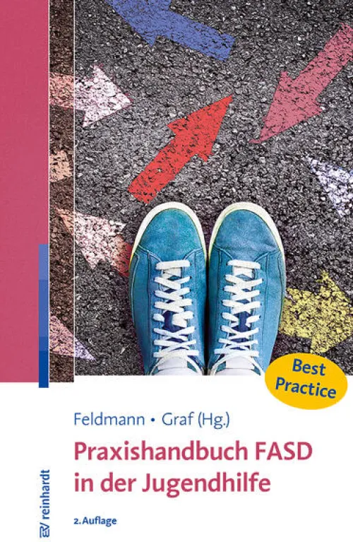 Reinhardt Ernst Pädagogik-Praxishandbuch FASD in der Jugendhilfe