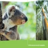 PRISMA Biologie 2. Schulbuch Klasse 7-10. Differenzierende Ausgabe A*Klett Ernst /Schulbuch