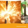 PRISMA Chemie 5/6. Schülerbuch Klasse 5/6. Differenzierende Ausgabe Niedersachsen*Klett Ernst /Schulbuch New