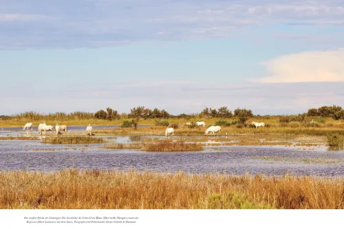 Provence. Eine Augenreise*Dorling Kindersley Reise Online