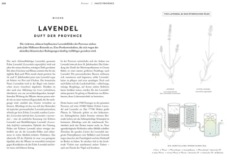 Provence. Eine Augenreise*Dorling Kindersley Reise Online