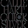 Hodder And Stoughton Ltd. Fantasy-Quicksilver