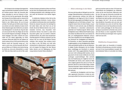 Haupt Verlag AG Biologie*Ratten