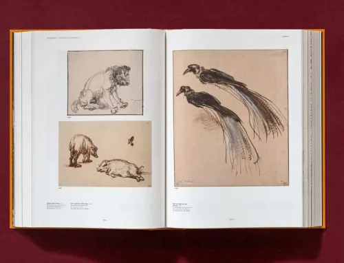 Taschen GmbH Künstler:Innen Im Fokus*Rembrandt. Sämtliche Zeichnungen und Radierungen