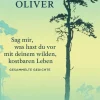 Sag mir, was hast du vor mit deinem wilden, kostbaren Leben*Diogenes eBooks Online