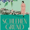 Ullstein extra Schicksalsromane*Schlehengrund