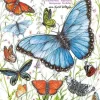 Atelier Color Bastelpapier & Origami*Schmetterlinge basteln aus Papier zum Aufhängen Bastelbogen