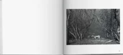 Taschen GmbH Künstler:Innen Im Fokus-Sebastião Salgado. Kuwait. A Desert on Fire