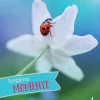 Lahn Geburt & Taufe*Segensmomente zur Taufe