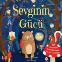 Türkiye Is Bankasi Kültür Türkische Bücher*Sevginin Gücü