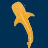 Sharkpedia - Die erstaunliche Welt der Haie*Mairisch Verlag Discount