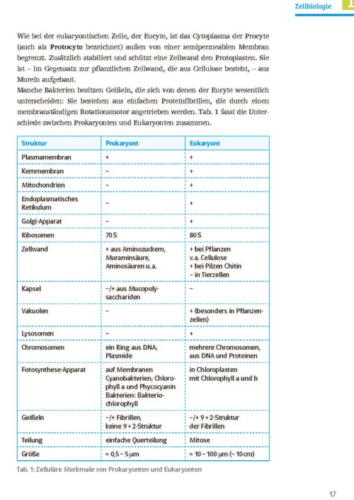 Sicher im Abi Biologie*Klett Lerntraining New