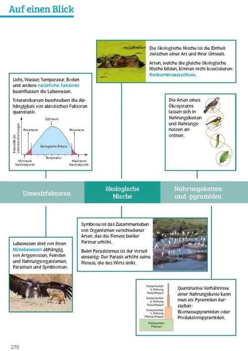 Sicher im Abi Biologie*Klett Lerntraining New
