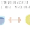 XinXii Gesunde Ernährung*Sixpack