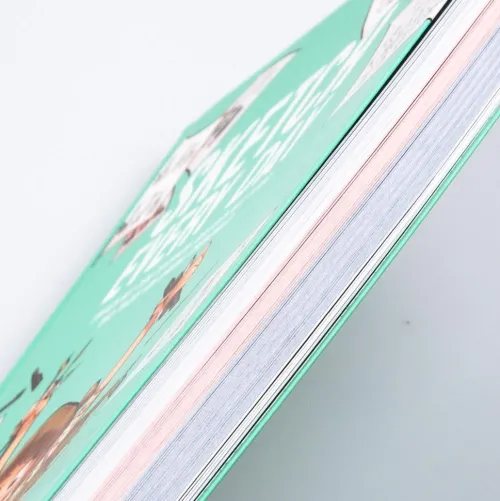 Carlsen Verlag GmbH Artbooks & Handbücher*Sketch Every Day