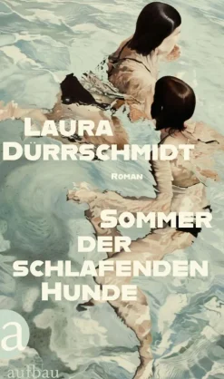 Sommer der schlafenden Hunde*Aufbau Digital Clearance
