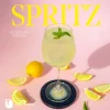Thorbecke Jan Verlag Wein & Getränke-Spritz