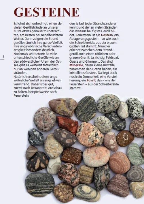 Demmler Verlag GmbH Geowissenschaft-Steine am Ostseestrand