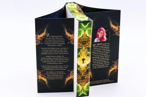 Knaur Taschenbuch High Fantasy-Steingladiole. Erde vergisst nie